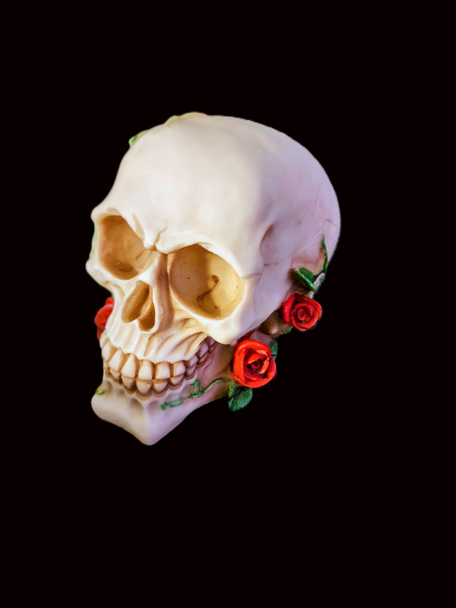 The Eternal Bloom Macabre Skull